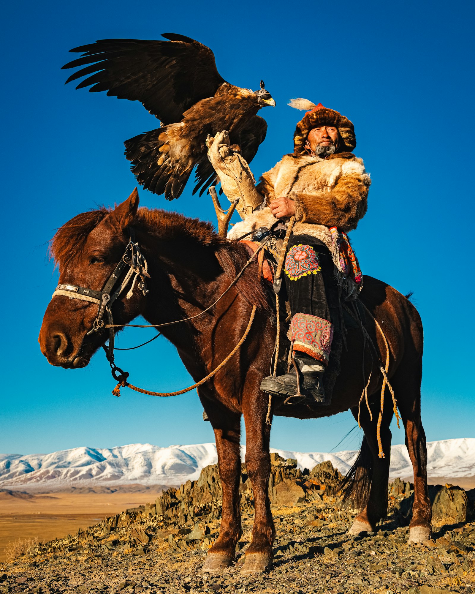 Placeholder — Mongolian heritage